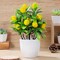Small Artificial Lemon Tree – Faux Potted Bonsai Plant for Indoor Décor, Bathroom, Window, Tabletop, or Office with Colorful Faux Flowers